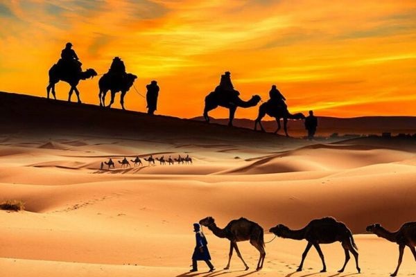 Desert Safari for Kids: Dune Bashing and Camel Rides